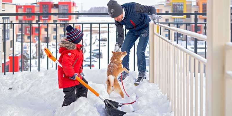 How to Protect Your Deck This Winter Weymouth, MA